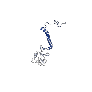 15322_8abi_P_v1-1
Complex III2 from Yarrowia lipolytica,antimycin A bound, int-position