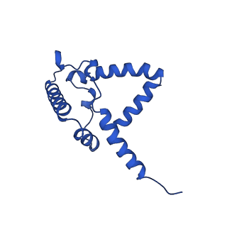 15322_8abi_R_v1-1
Complex III2 from Yarrowia lipolytica,antimycin A bound, int-position
