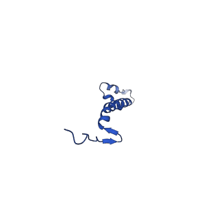 15322_8abi_U_v1-1
Complex III2 from Yarrowia lipolytica,antimycin A bound, int-position