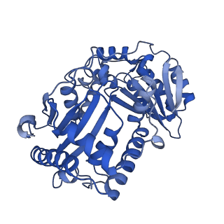 15323_8abj_B_v1-1
Complex III2 from Yarrowia lipolytica, antimycin A bound, c-position