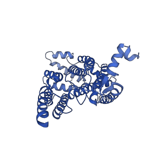15323_8abj_C_v1-1
Complex III2 from Yarrowia lipolytica, antimycin A bound, c-position