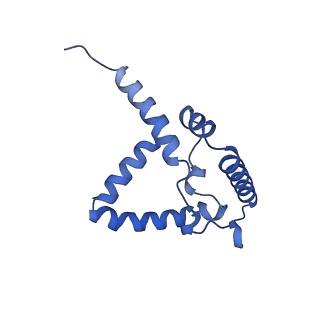 15323_8abj_G_v1-1
Complex III2 from Yarrowia lipolytica, antimycin A bound, c-position