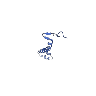 15323_8abj_J_v1-1
Complex III2 from Yarrowia lipolytica, antimycin A bound, c-position