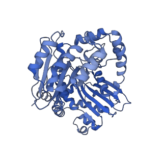 15323_8abj_L_v1-1
Complex III2 from Yarrowia lipolytica, antimycin A bound, c-position