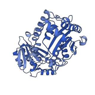 15323_8abj_M_v1-1
Complex III2 from Yarrowia lipolytica, antimycin A bound, c-position