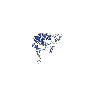 15323_8abj_O_v1-1
Complex III2 from Yarrowia lipolytica, antimycin A bound, c-position
