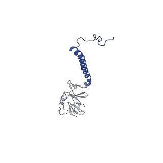 15323_8abj_P_v1-1
Complex III2 from Yarrowia lipolytica, antimycin A bound, c-position
