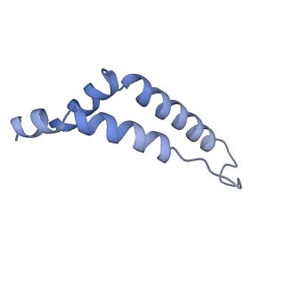 15323_8abj_Q_v1-1
Complex III2 from Yarrowia lipolytica, antimycin A bound, c-position