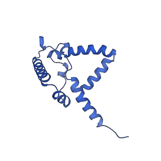 15323_8abj_R_v1-1
Complex III2 from Yarrowia lipolytica, antimycin A bound, c-position