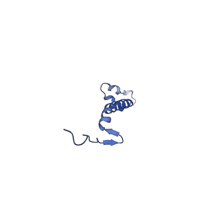 15323_8abj_U_v1-1
Complex III2 from Yarrowia lipolytica, antimycin A bound, c-position