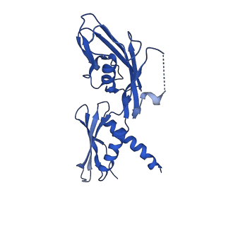 15327_8aby_A_v1-1
RNA polymerase bound to purified in vitro transcribed regulatory RNA putL - pause prone, closed clamp state