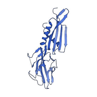 15327_8aby_B_v1-1
RNA polymerase bound to purified in vitro transcribed regulatory RNA putL - pause prone, closed clamp state