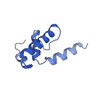 15327_8aby_E_v1-1
RNA polymerase bound to purified in vitro transcribed regulatory RNA putL - pause prone, closed clamp state