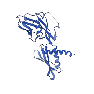 15328_8abz_A_v1-1
RNA polymerase at U-rich pause bound to non-regulatory RNA - pause prone, closed clamp state