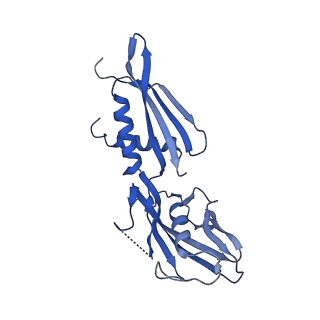 15328_8abz_B_v1-1
RNA polymerase at U-rich pause bound to non-regulatory RNA - pause prone, closed clamp state