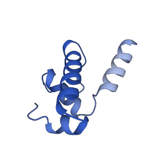 15328_8abz_E_v1-1
RNA polymerase at U-rich pause bound to non-regulatory RNA - pause prone, closed clamp state
