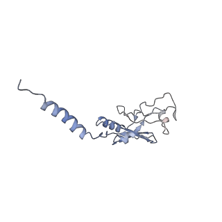 11713_7ac7_5_v1-1
Structure of accomodated trans-translation complex on E. Coli stalled ribosome.