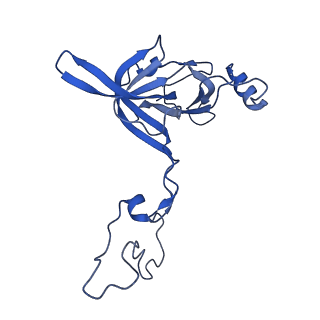 11713_7ac7_C_v1-1
Structure of accomodated trans-translation complex on E. Coli stalled ribosome.