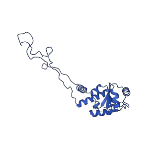 11713_7ac7_D_v1-1
Structure of accomodated trans-translation complex on E. Coli stalled ribosome.