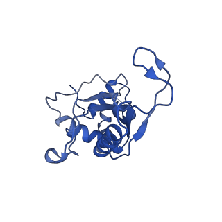 11713_7ac7_E_v1-1
Structure of accomodated trans-translation complex on E. Coli stalled ribosome.