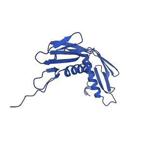 11713_7ac7_F_v1-1
Structure of accomodated trans-translation complex on E. Coli stalled ribosome.