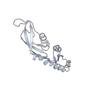11713_7ac7_G_v1-1
Structure of accomodated trans-translation complex on E. Coli stalled ribosome.