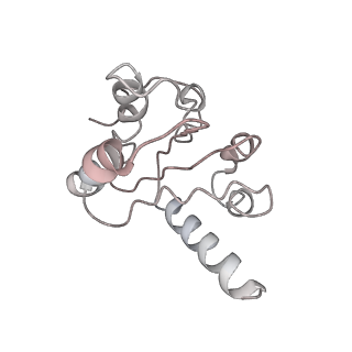 11713_7ac7_H_v1-1
Structure of accomodated trans-translation complex on E. Coli stalled ribosome.