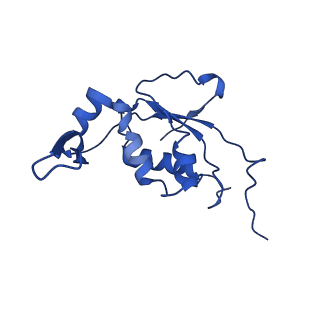 11713_7ac7_J_v1-1
Structure of accomodated trans-translation complex on E. Coli stalled ribosome.