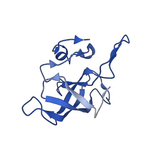 11713_7ac7_K_v1-1
Structure of accomodated trans-translation complex on E. Coli stalled ribosome.