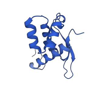 11713_7ac7_N_v1-1
Structure of accomodated trans-translation complex on E. Coli stalled ribosome.