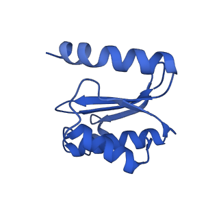 11713_7ac7_O_v1-1
Structure of accomodated trans-translation complex on E. Coli stalled ribosome.