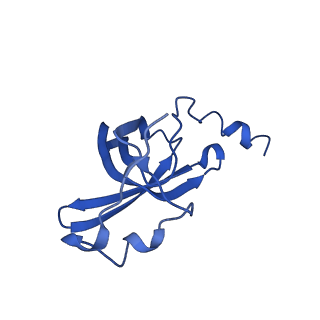 11713_7ac7_P_v1-1
Structure of accomodated trans-translation complex on E. Coli stalled ribosome.