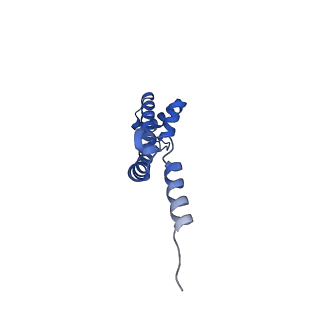 11713_7ac7_Q_v1-1
Structure of accomodated trans-translation complex on E. Coli stalled ribosome.