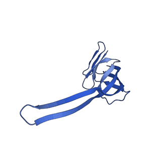 11713_7ac7_R_v1-1
Structure of accomodated trans-translation complex on E. Coli stalled ribosome.