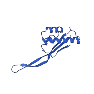11713_7ac7_S_v1-1
Structure of accomodated trans-translation complex on E. Coli stalled ribosome.