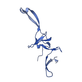 11713_7ac7_U_v1-1
Structure of accomodated trans-translation complex on E. Coli stalled ribosome.