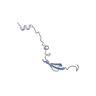 11713_7ac7_a_v1-1
Structure of accomodated trans-translation complex on E. Coli stalled ribosome.