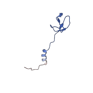 11713_7ac7_b_v1-1
Structure of accomodated trans-translation complex on E. Coli stalled ribosome.