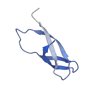 11713_7ac7_c_v1-1
Structure of accomodated trans-translation complex on E. Coli stalled ribosome.