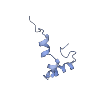 11713_7ac7_d_v1-1
Structure of accomodated trans-translation complex on E. Coli stalled ribosome.