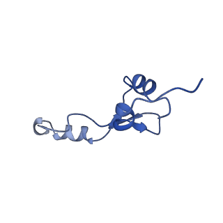 11713_7ac7_e_v1-1
Structure of accomodated trans-translation complex on E. Coli stalled ribosome.