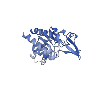 11713_7ac7_g_v1-1
Structure of accomodated trans-translation complex on E. Coli stalled ribosome.