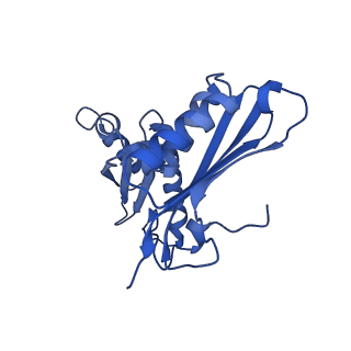 11713_7ac7_h_v1-1
Structure of accomodated trans-translation complex on E. Coli stalled ribosome.