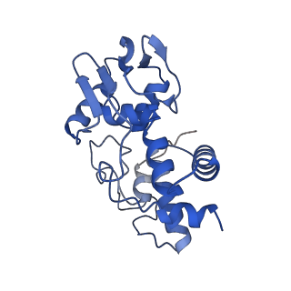 11713_7ac7_i_v1-1
Structure of accomodated trans-translation complex on E. Coli stalled ribosome.
