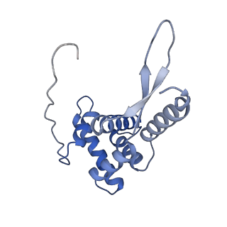 11713_7ac7_l_v1-1
Structure of accomodated trans-translation complex on E. Coli stalled ribosome.