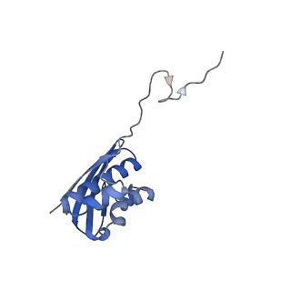 11713_7ac7_n_v1-1
Structure of accomodated trans-translation complex on E. Coli stalled ribosome.