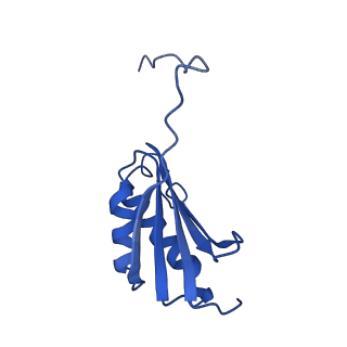 11713_7ac7_p_v1-1
Structure of accomodated trans-translation complex on E. Coli stalled ribosome.