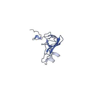 11713_7ac7_q_v1-1
Structure of accomodated trans-translation complex on E. Coli stalled ribosome.