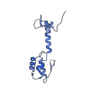 11713_7ac7_r_v1-1
Structure of accomodated trans-translation complex on E. Coli stalled ribosome.