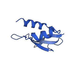 11713_7ac7_u_v1-1
Structure of accomodated trans-translation complex on E. Coli stalled ribosome.